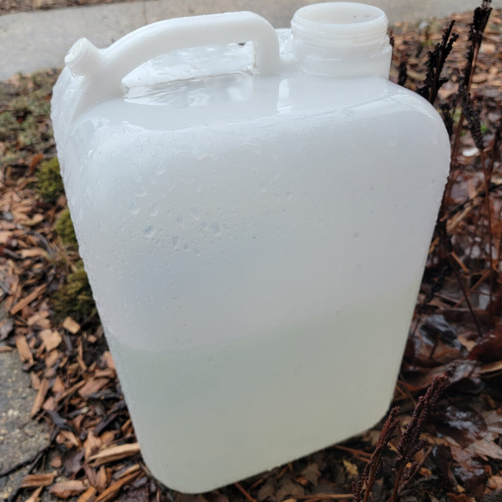 5 gallon jug half filled with rainwater