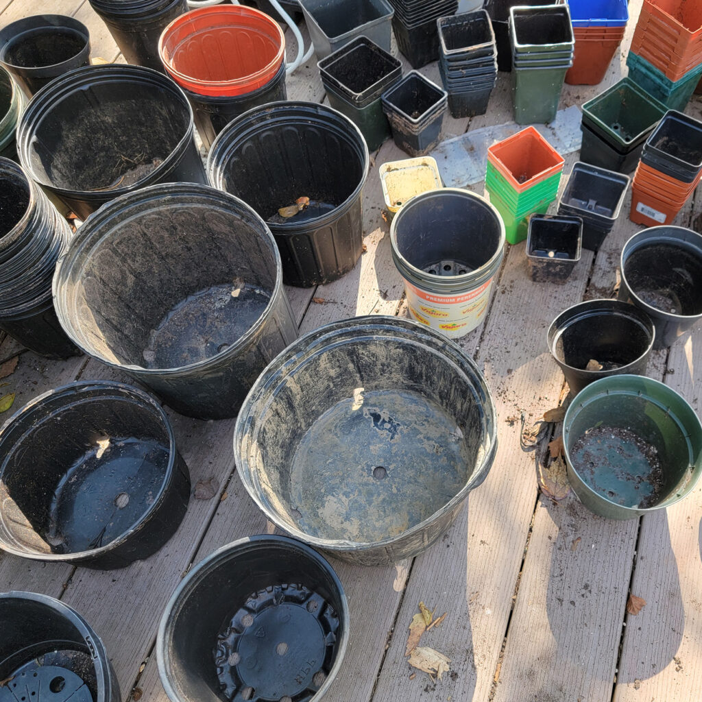 a mix of gifted used pots being sorted before cleaning and storing to sow more seed