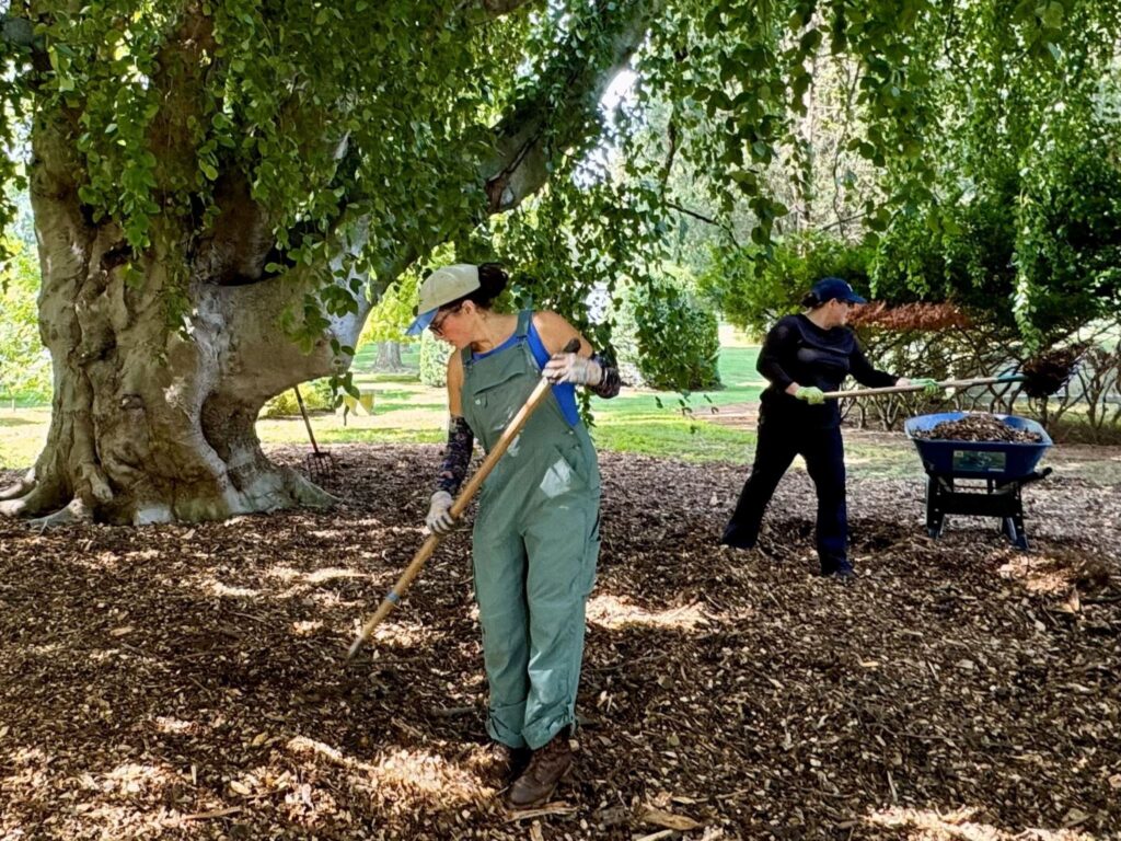 Magi Kern raking to spread mulch at Laurel Hill cemetery in Philadelphia, PA