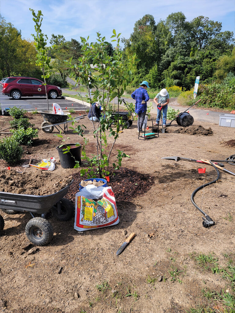 Twining Valley Park native demo garden expansion in progress. This is a community-driven effort, led and designed by Cindy Trilling Nuss, funded by grants from WNF&GA and the Hardy Plant Society, paths donated by PECO, planted and maintained by volunteeers, and enjoyed by park visitors on a daily basis year-round.