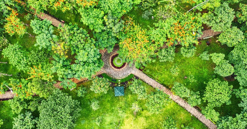 Drone view of green park with intersecting pathways in Jakarta, showcasing lush foliage and vibrant scenery.