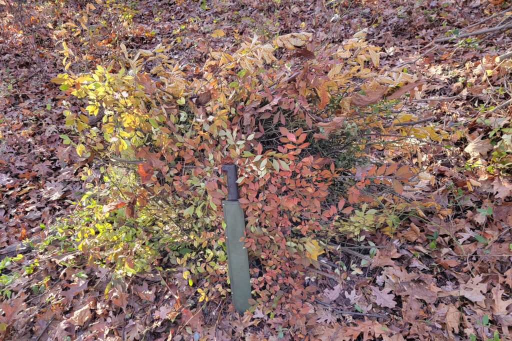 pile of invasive species cut down in 2023, one of countless such piles, with a sheathed machete in front of it. Invasive species have been devastating to the native plant community