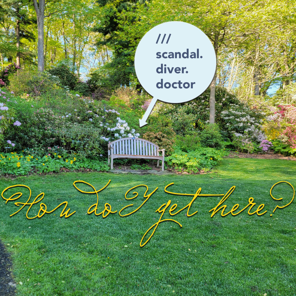 bench at Jenkins Arboretum and Gardens surrounded by spring blooming plants and a lush green lawn in front, with a circle graphic with an arrow and the words ///scandal.diver.doctor and the words "How do I get here?" in a gold script. The three words are the coordinates using the what3words map