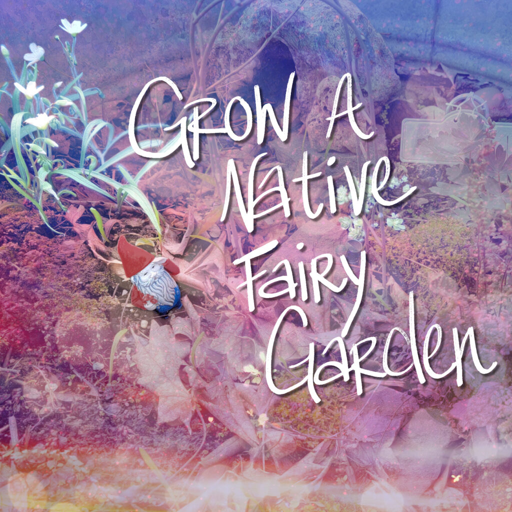 altered image of a native fairy garden with the text "Grow a native fairy garden"