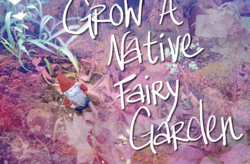 altered image of a native fairy garden with the text "Grow a native fairy garden"