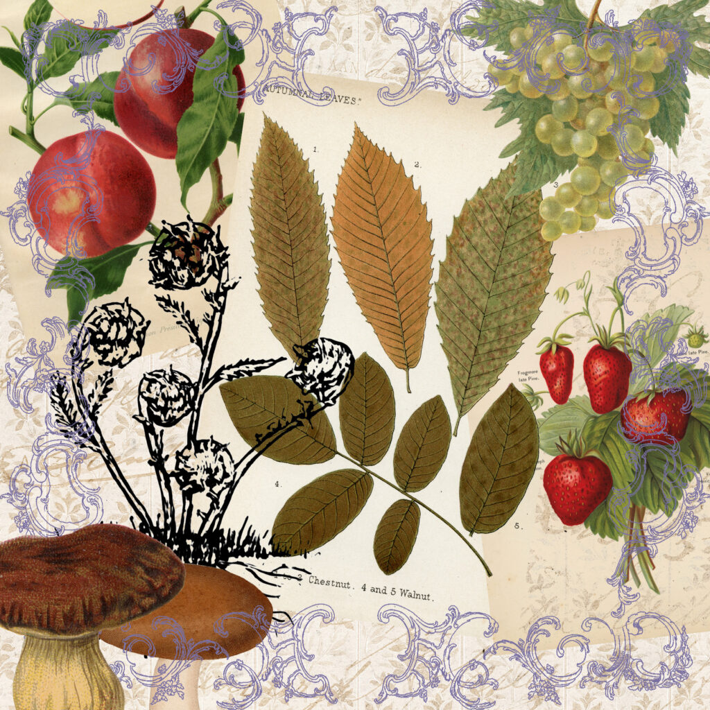 Native Food Forest