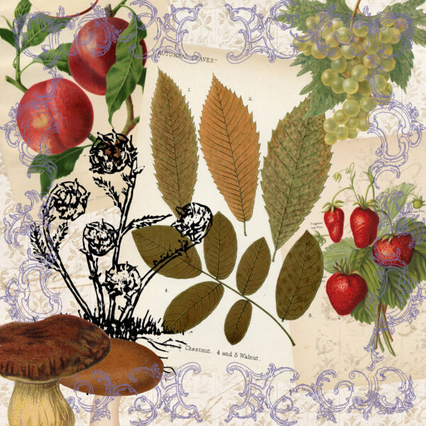 Native Food Forest