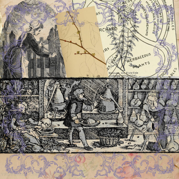 Apothecary