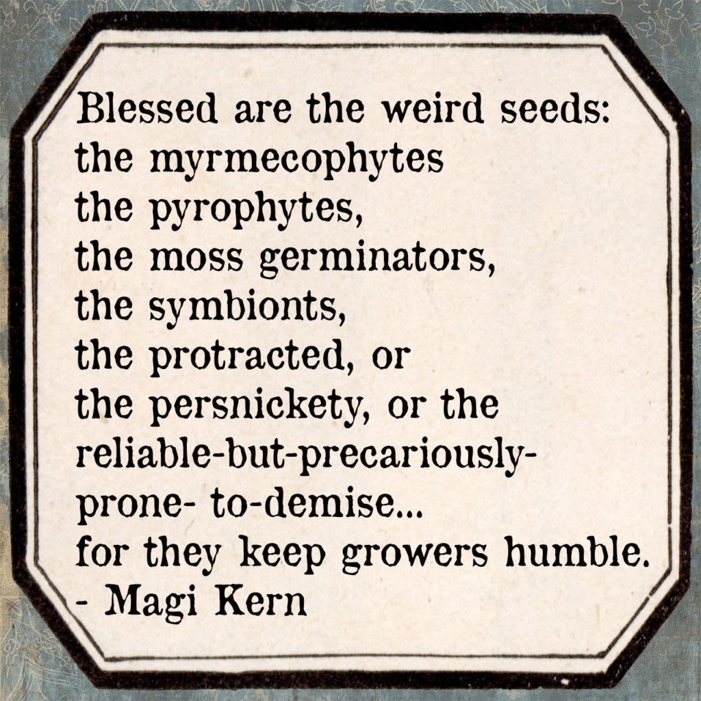 Blessed are the weird seeds: the myrmecophytes, the pyrophytes, the moss germinators, the symbionts, the protracted, or the persnickety, or the reliable-but-precariously-prone-to-demise... for they keep growers humble.- Magi Kern