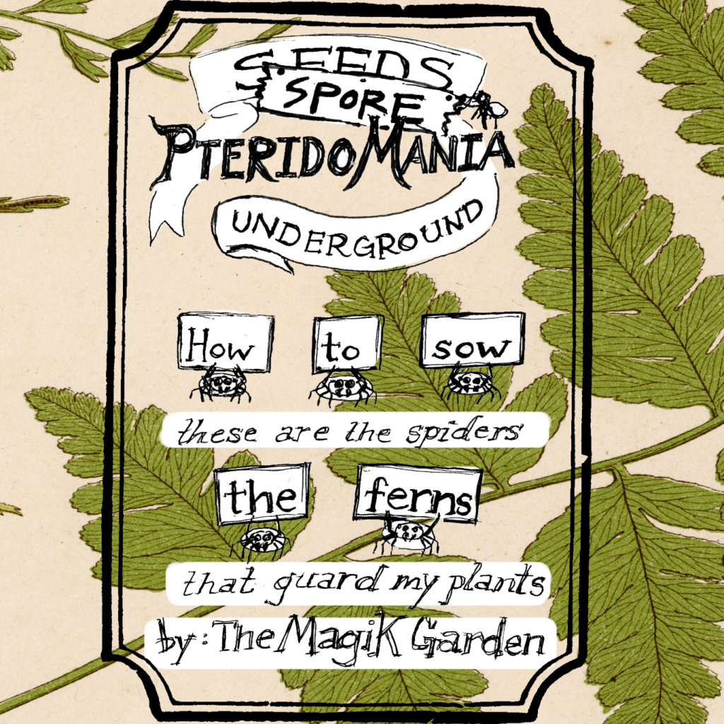 Seeds Underground with "seeds" covered with the word "spore" and the word PTERIDOMANIA in between spore and underground. A group of illustrated spider hold cards that read "how to sow the ferns" and beneath the spiders the text "these are the spiders that guard my plants". Bottom text reads by The MagiK Garden. Background graphic is a vintage illustration of a fern frond