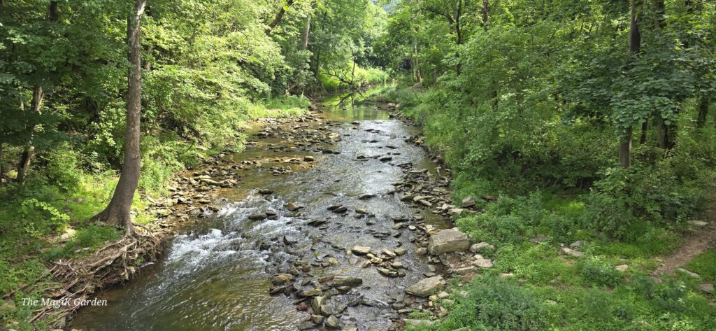 valley creek at Valley forge as seen when crossing the bridge